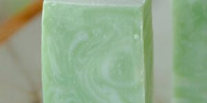 Moisturizing Vegan Body Wash - Aloe & Coconut Milk - No Tox Life