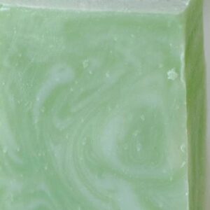 Moisturizing Vegan Body Wash - Aloe & Coconut Milk - No Tox Life