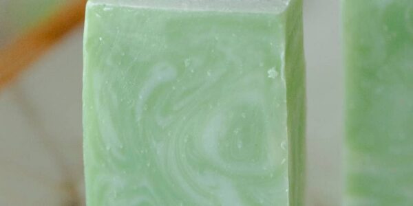 Moisturizing Vegan Body Wash - Aloe & Coconut Milk - No Tox Life